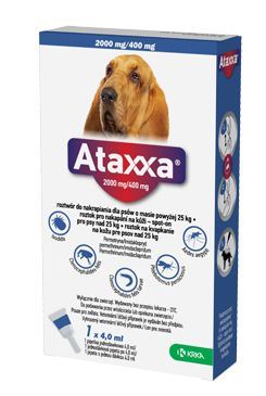 Ataxxa pro psy XL 1x2000mg/400mg fialová sol 1 x 4.0 ml