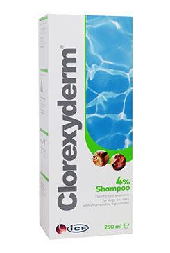 Clorexyderm šampon 4% ICF 250ml