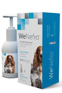 WeNefro 100ml