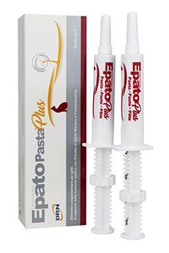 ICF Epato pasta plus 2x15ml